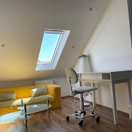 Geraeumige 3-Zimmer-Ferienwohnung Im Herzen Von Kassel Buitenkant foto