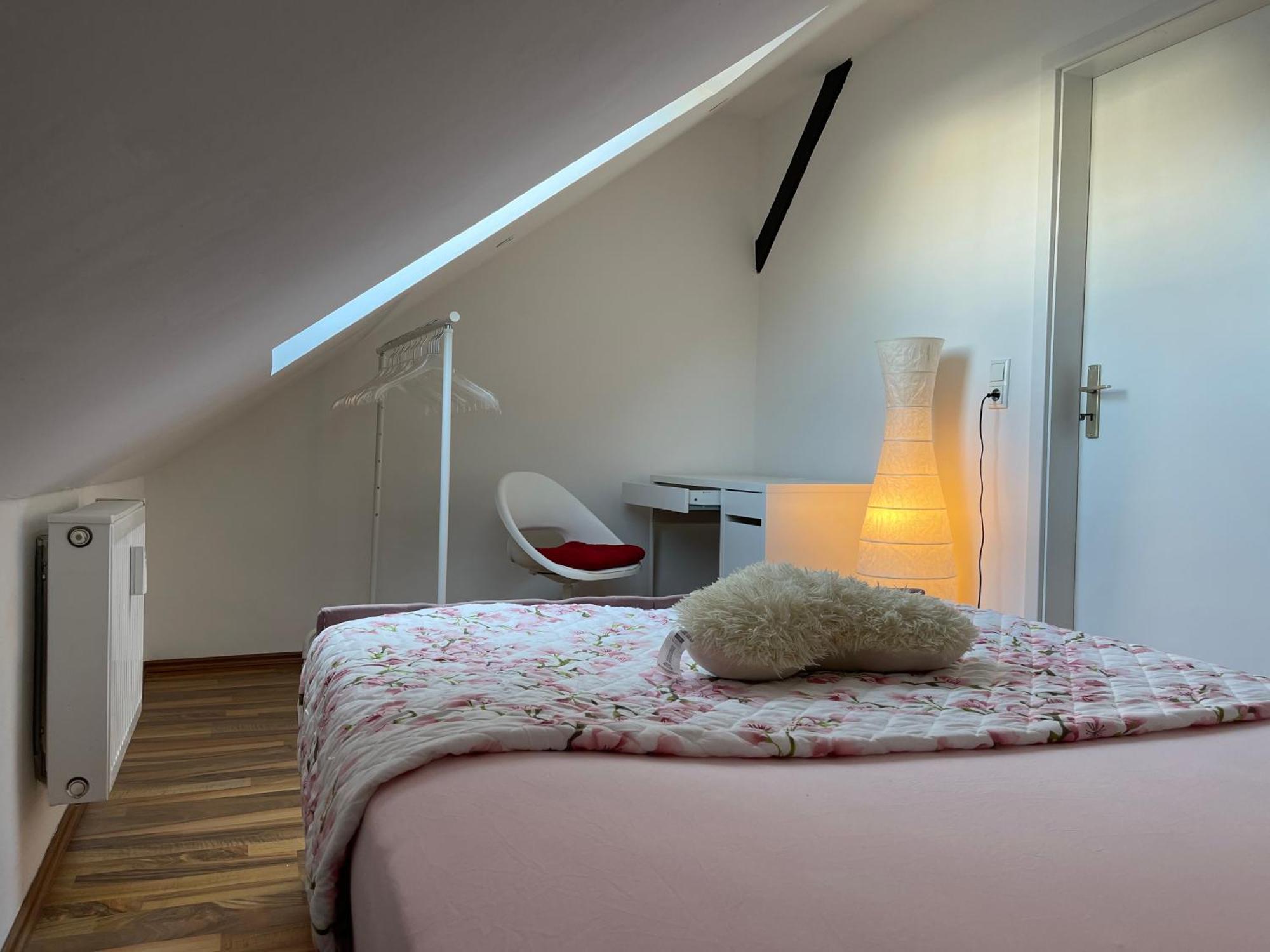Geraeumige 3-Zimmer-Ferienwohnung Im Herzen Von Kassel Buitenkant foto