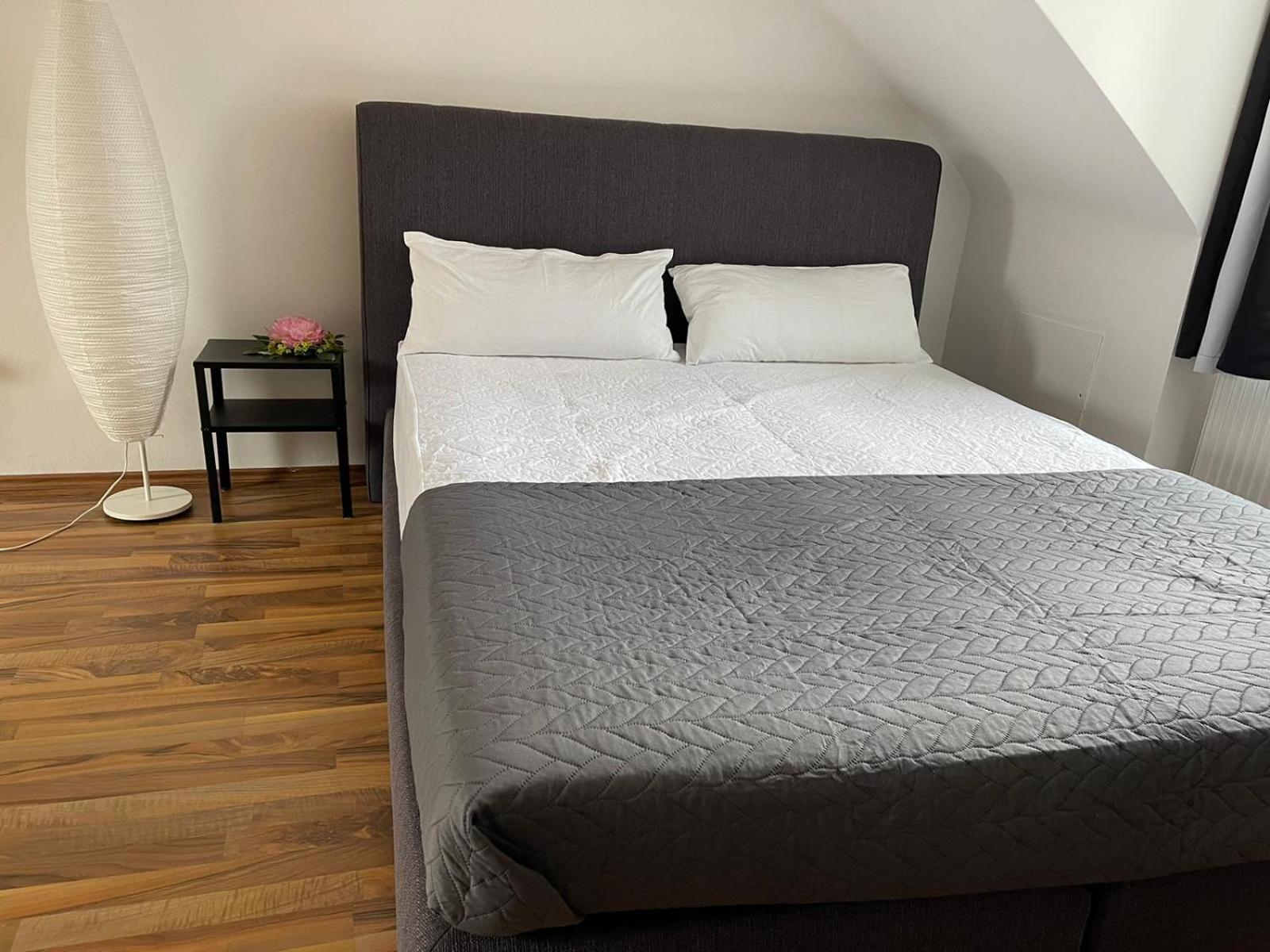 Geraeumige 3-Zimmer-Ferienwohnung Im Herzen Von Kassel Buitenkant foto